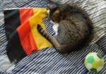 Deutschland Katze